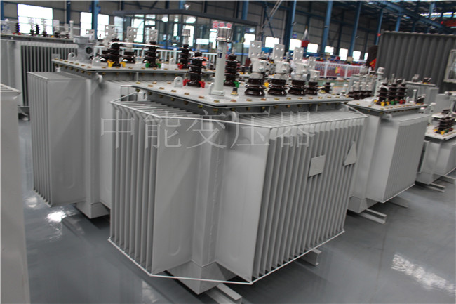 河池2500KVA/10KV油浸式变压器